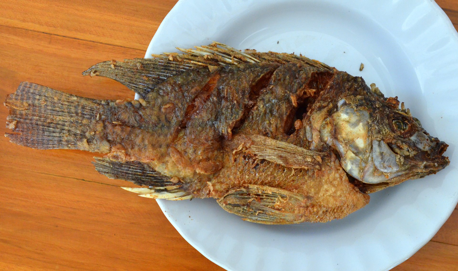 Naklua and Jomtien Grilled Fish in Pattaya