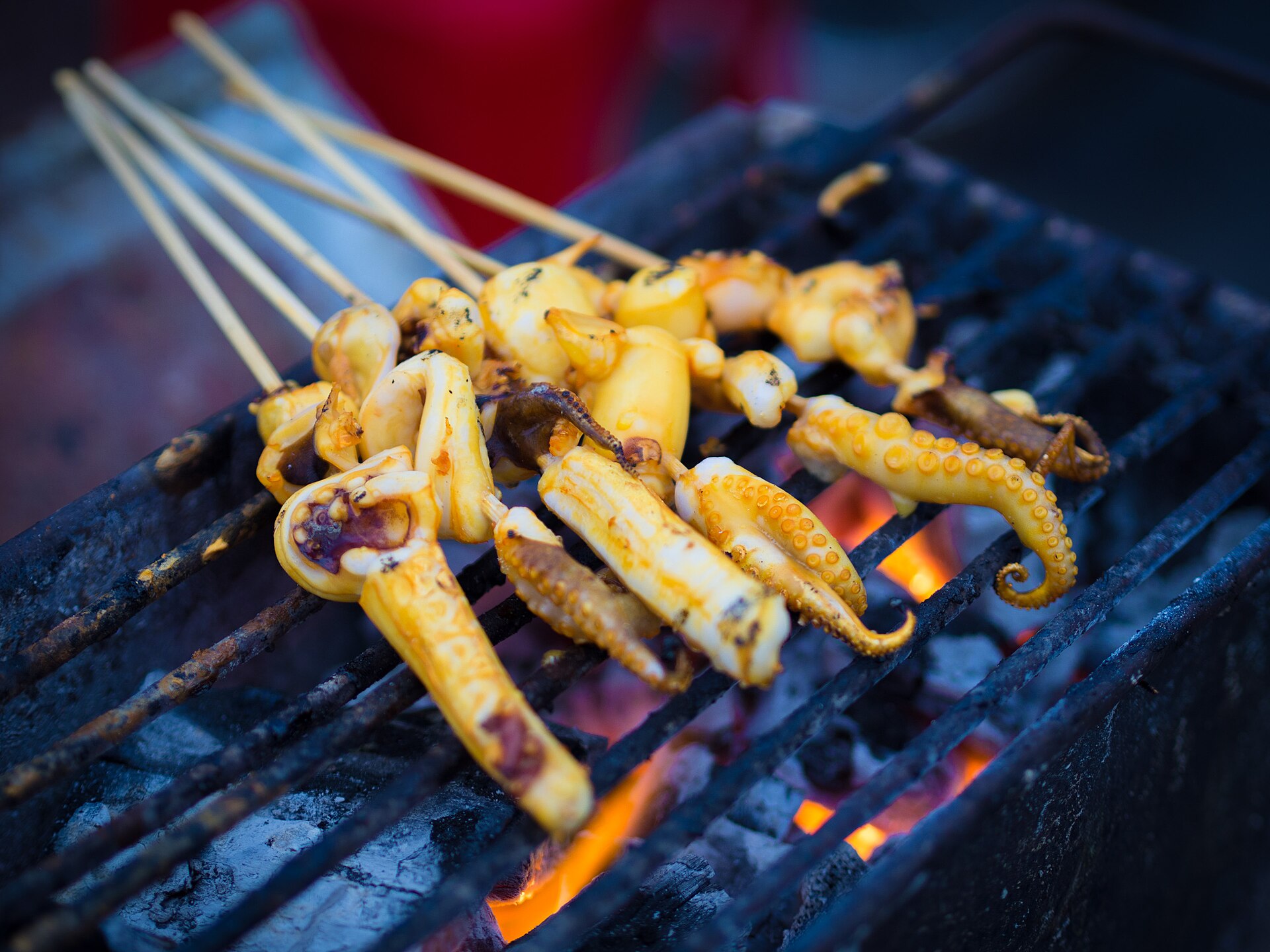 Grilled Squid in Koh Kood