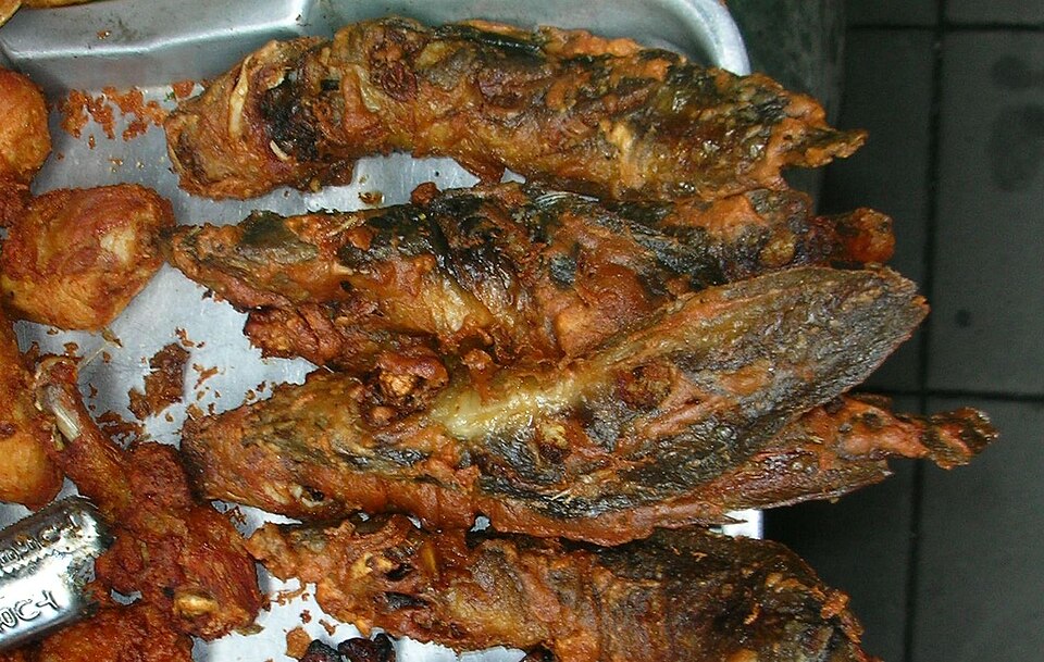 Fermented Catfish in Koh Phangan