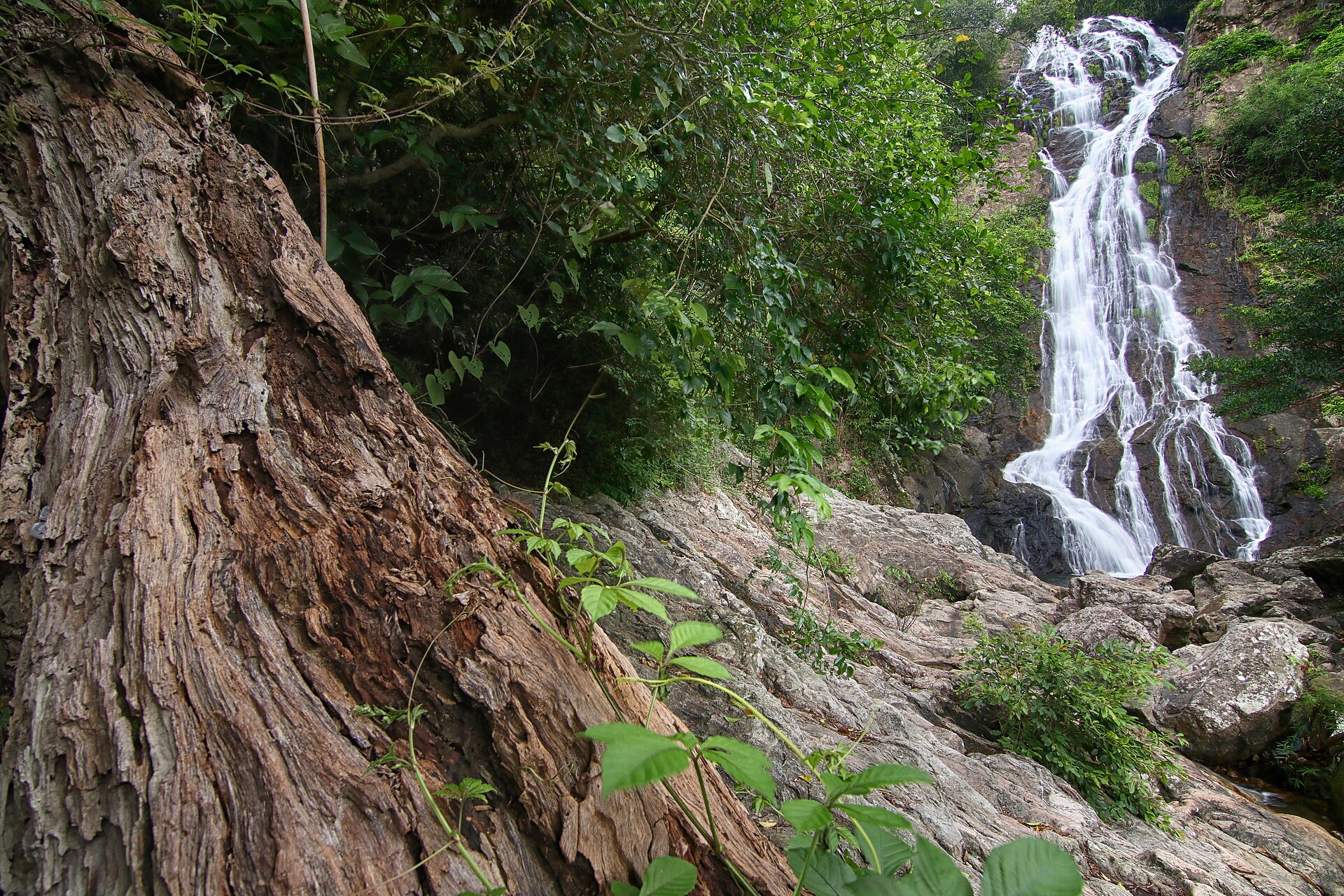 Khao Yai food guide
