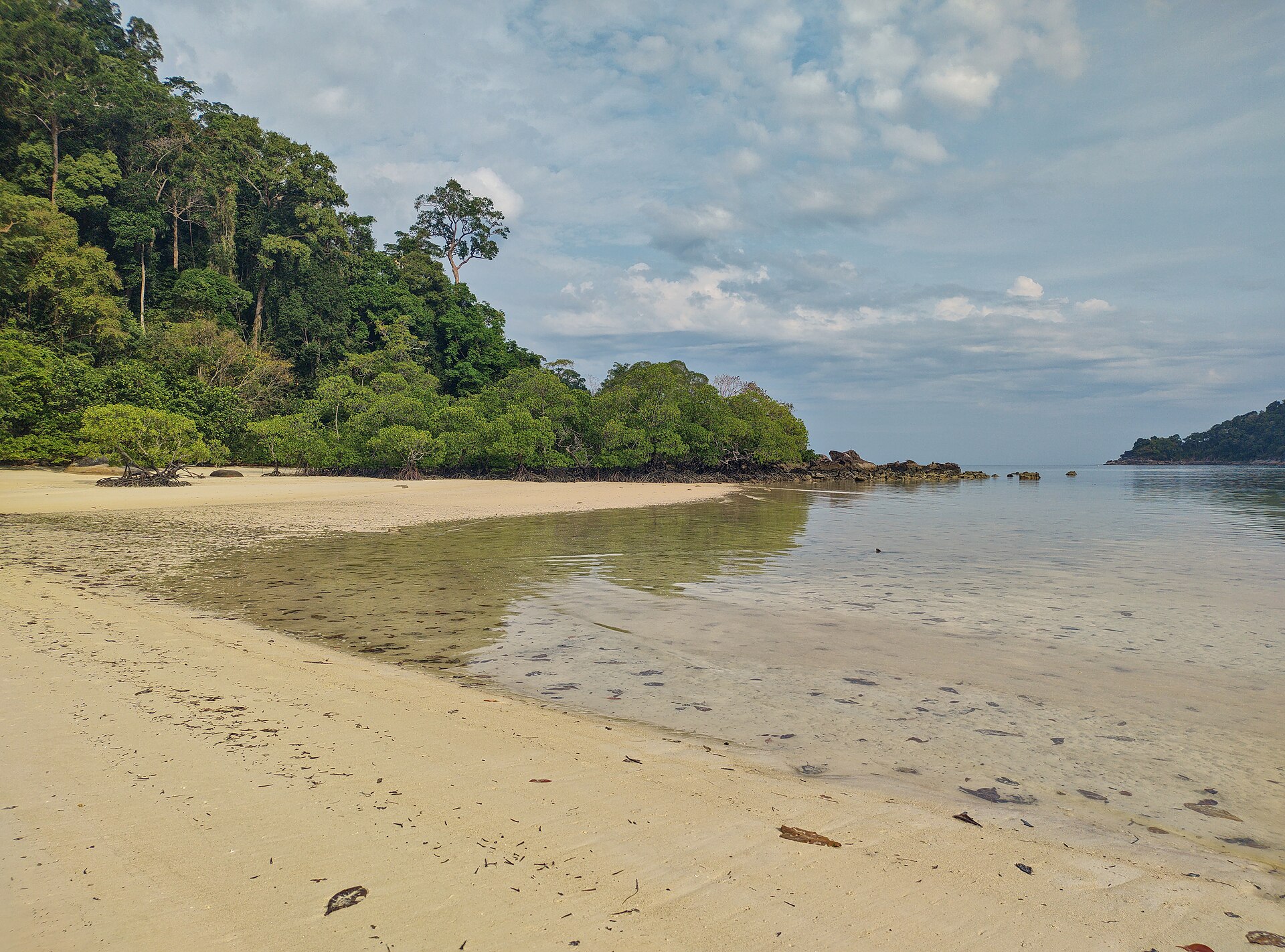 Similan and Surin