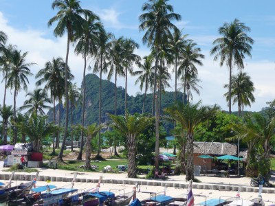 Tonsai village